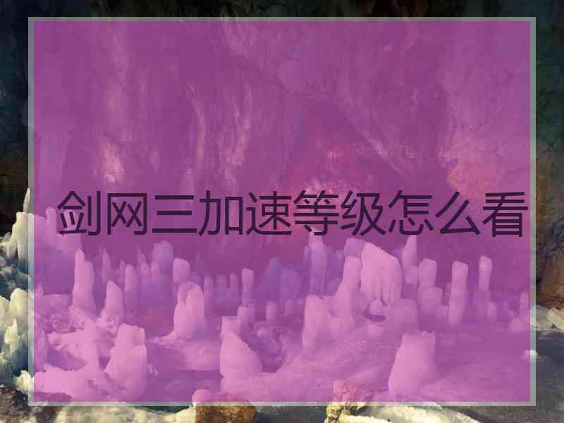 剑网三加速等级怎么看 剑网三加速等级怎么看