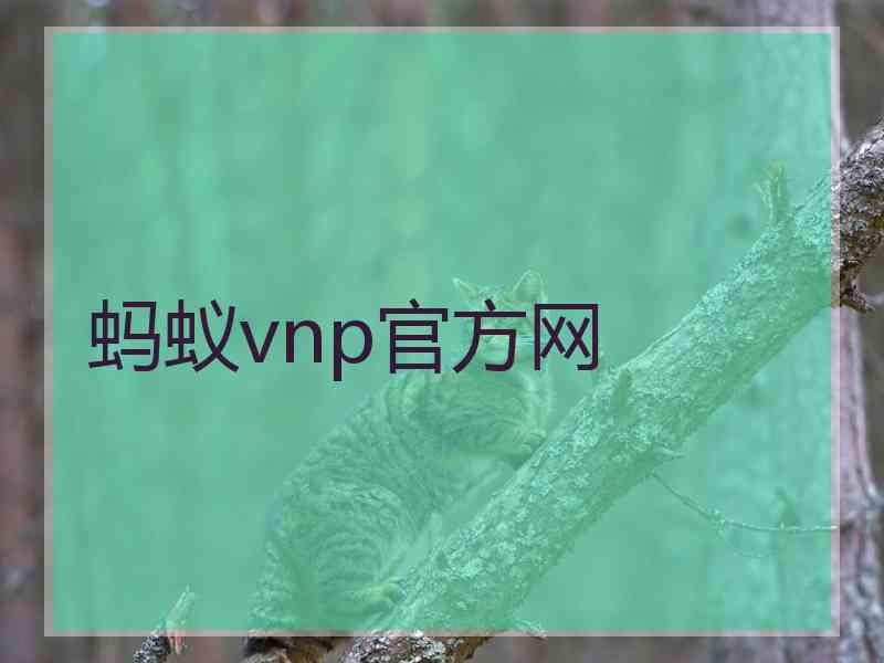 蚂蚁vnp官方网 蚂蚁vnp官方网