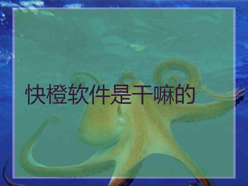 快橙软件是干嘛的 快橙软件是干嘛的