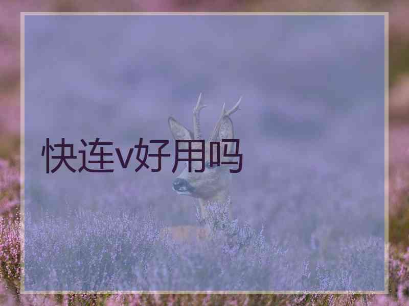 快连v好用吗 快连v好用吗