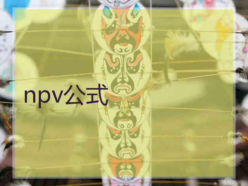 npv公式 npv公式