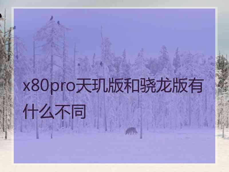 x80pro天玑版和骁龙版有什么不同 x80pro天玑版和骁龙版有什么不同