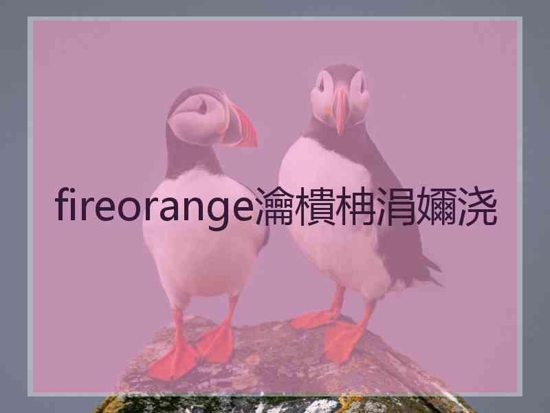 fireorange瀹樻柟涓嬭浇 fireorange瀹樻柟涓嬭浇