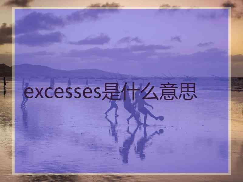 excesses是什么意思