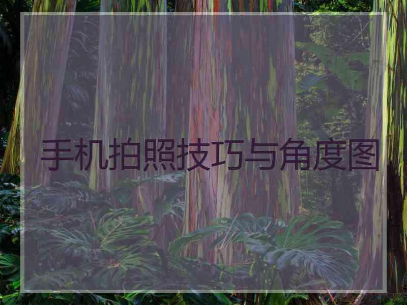 手机拍照技巧与角度图 手机拍照技巧与角度图