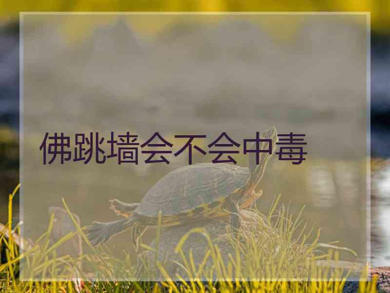 佛跳墙会不会中毒 佛跳墙会不会中毒