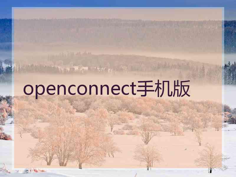 openconnect手机版