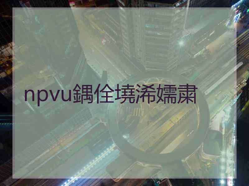npvu鍝佺墝浠嬬粛 npvu鍝佺墝浠嬬粛