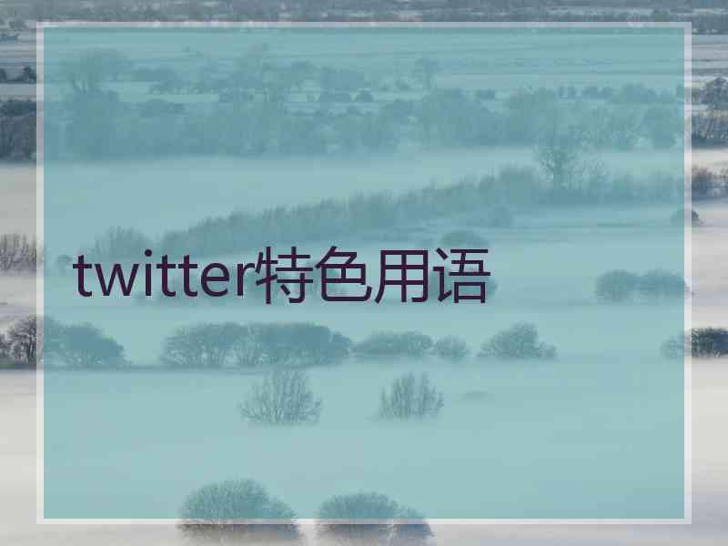 twitter特色用语 twitter特色用语