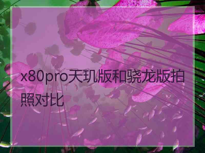 x80pro天玑版和骁龙版拍照对比 x80pro天玑版和骁龙版拍照对比