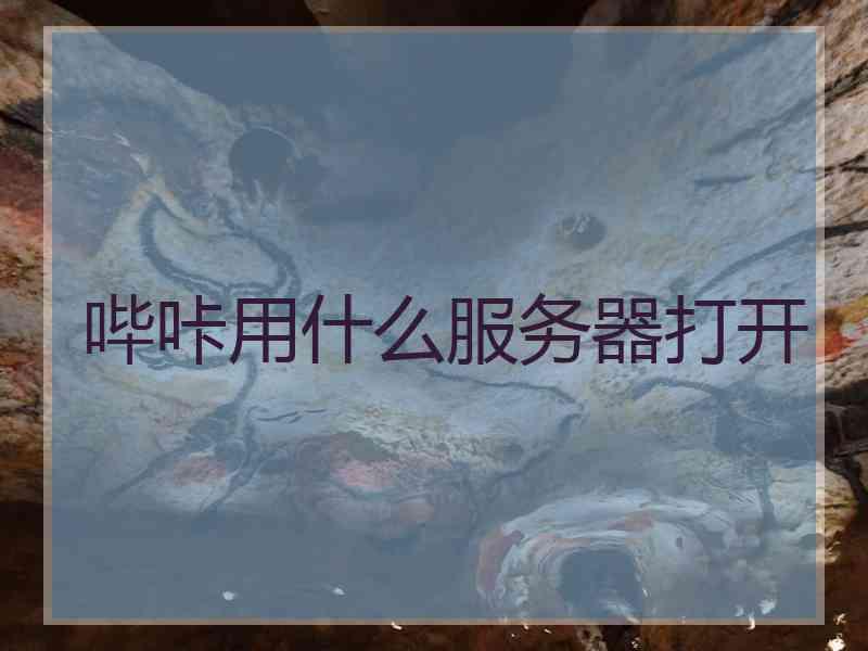哔咔用什么服务器打开 哔咔用什么服务器打开