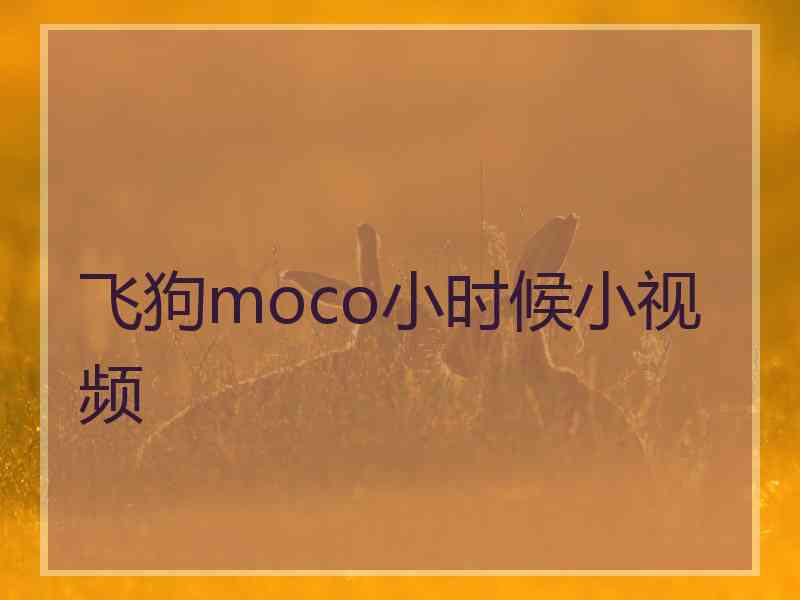 飞狗moco小时候小视频 飞狗moco小时候小视频