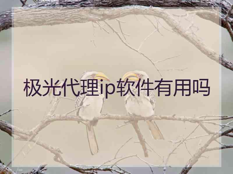 极光代理ip软件有用吗 极光代理ip软件有用吗
