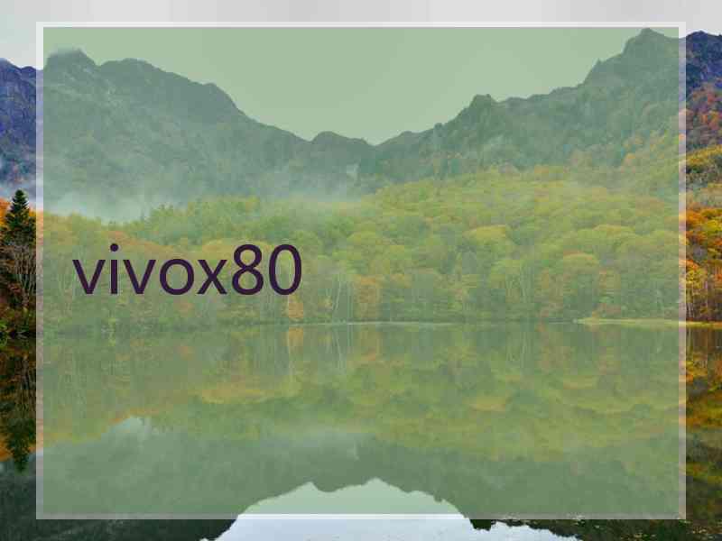 vivox80