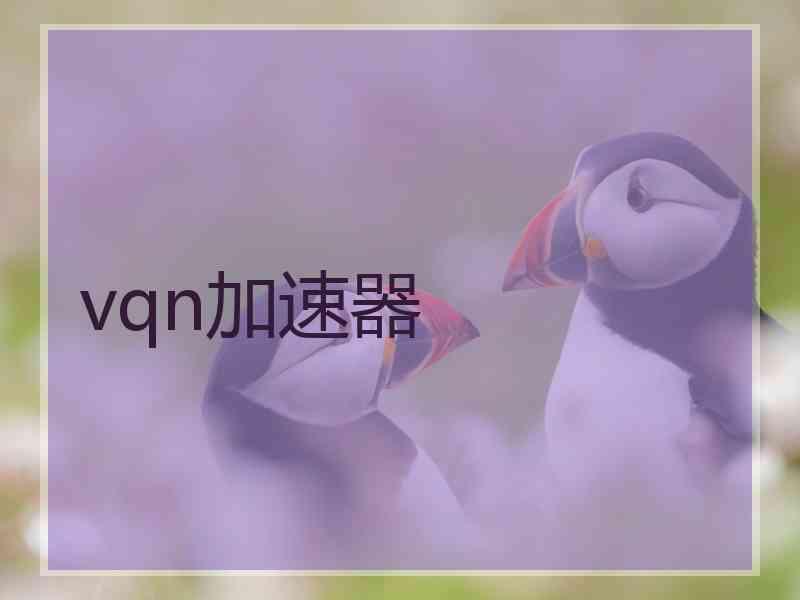 vqn加速器 vqn加速器