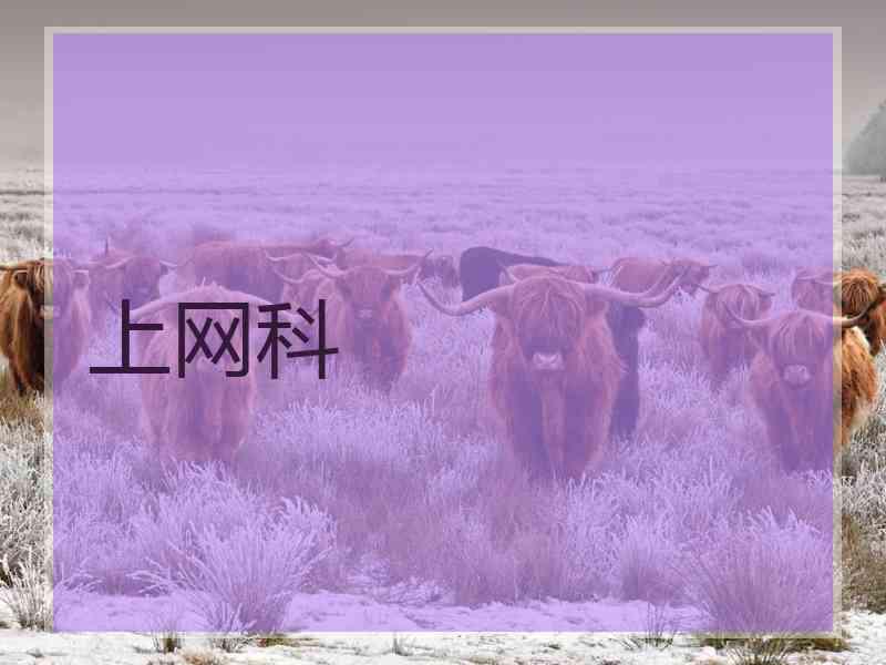 上网科 上网科