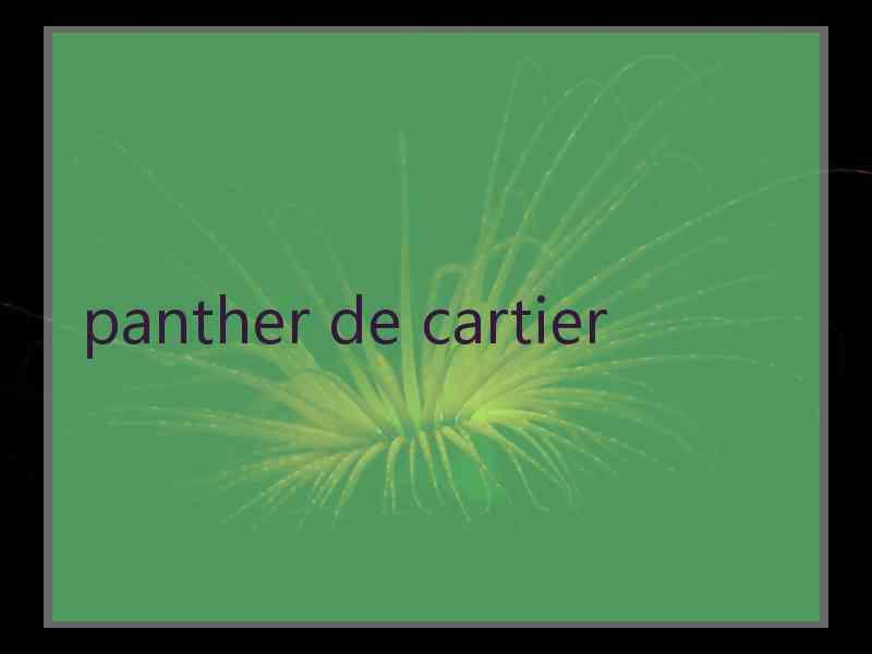 panther de cartier panther de cartier