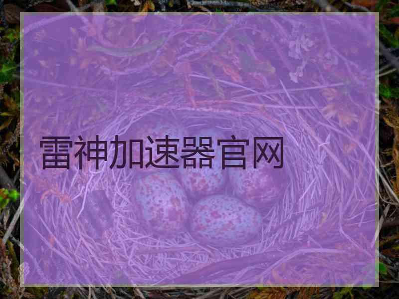 雷神加速器官网 雷神加速器官网