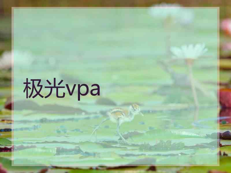 极光vpa 极光vpa