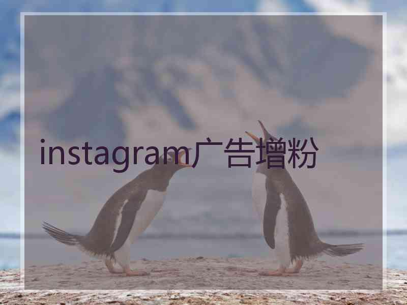 instagram广告增粉 instagram广告增粉