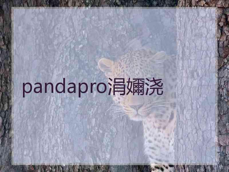pandapro涓嬭浇