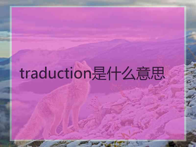 traduction是什么意思 traduction是什么意思