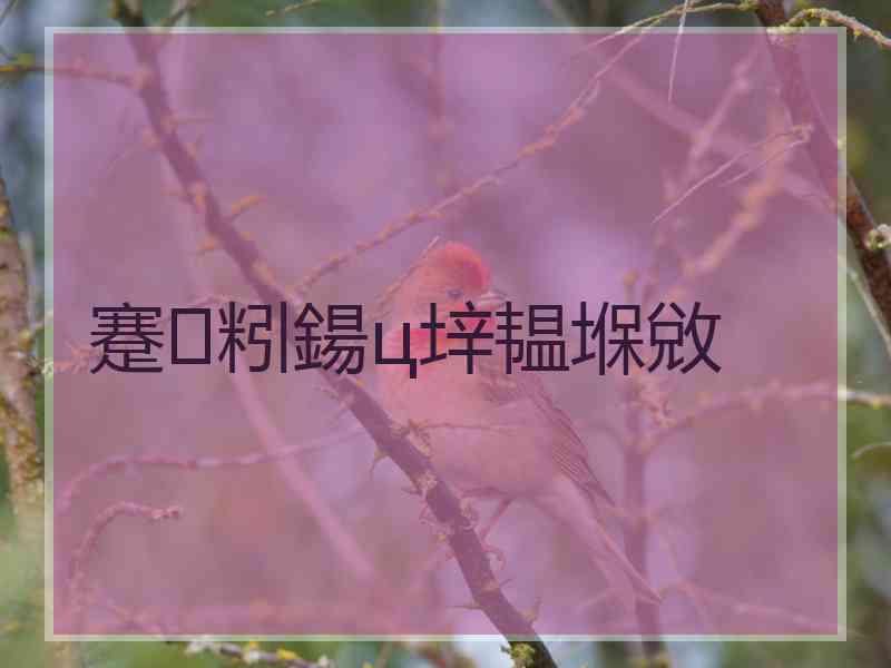 蹇粌鍚ц垶韫堢敓 蹇粌鍚ц垶韫堢敓