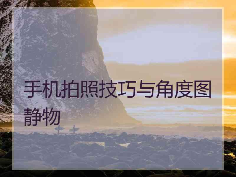 手机拍照技巧与角度图静物 手机拍照技巧与角度图静物