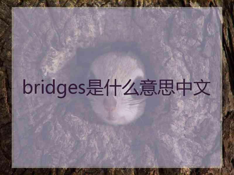 bridges是什么意思中文