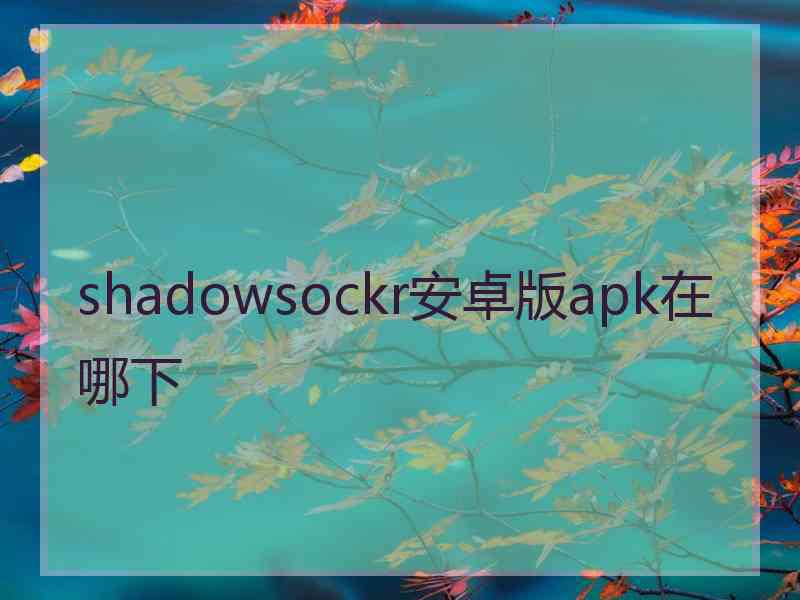 shadowsockr安卓版apk在哪下