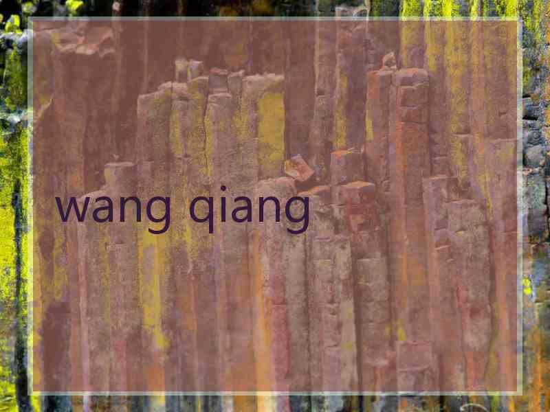 wang qiang wang qiang