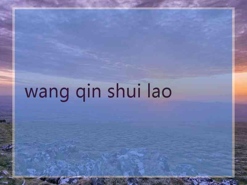 wang qin shui lao wang qin shui lao