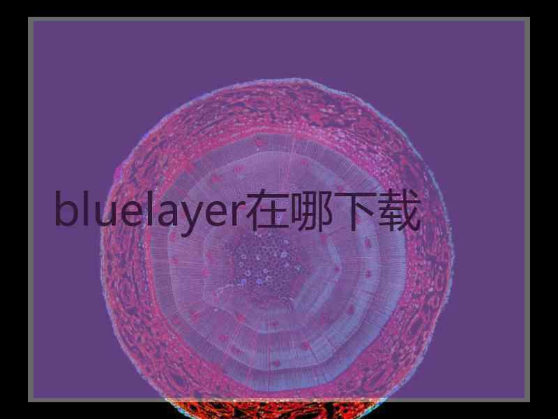 bluelayer在哪下载 bluelayer在哪下载