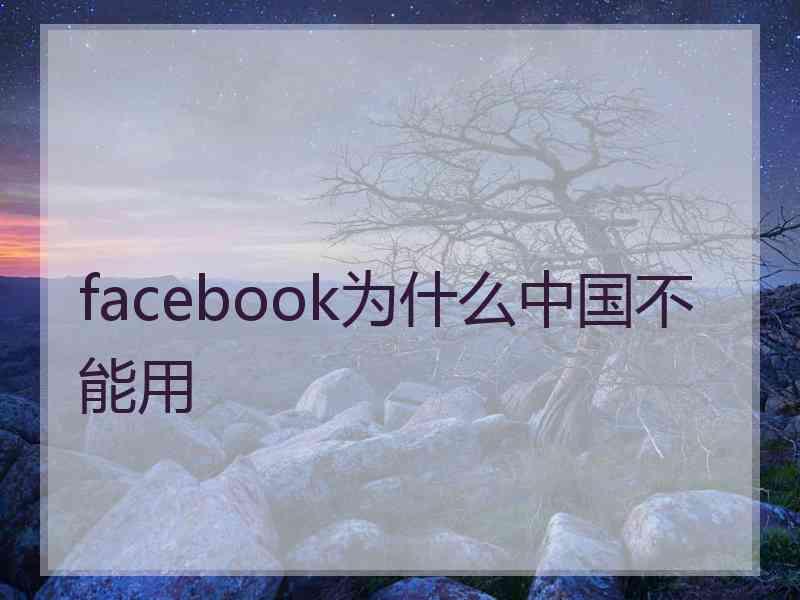 facebook为什么中国不能用