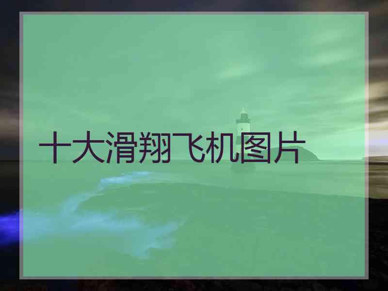 十大滑翔飞机图片 十大滑翔飞机图片