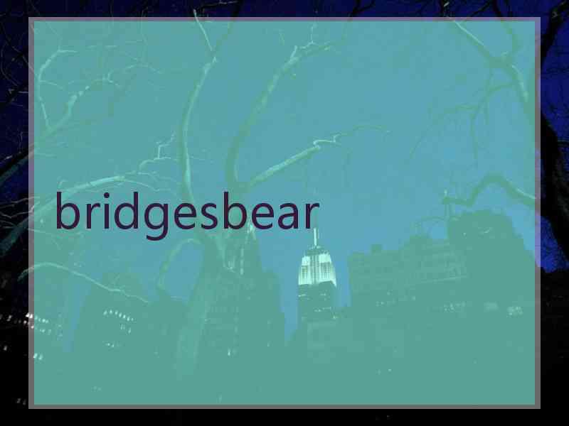 bridgesbear