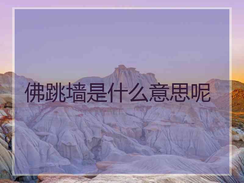 佛跳墙是什么意思呢 佛跳墙是什么意思呢