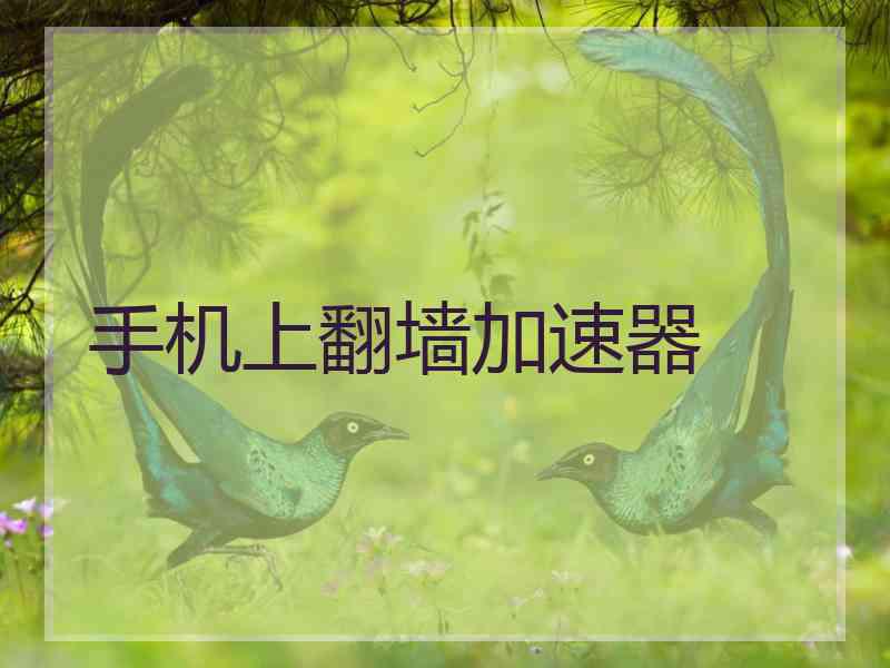 手机上翻墙加速器 手机上翻墙加速器