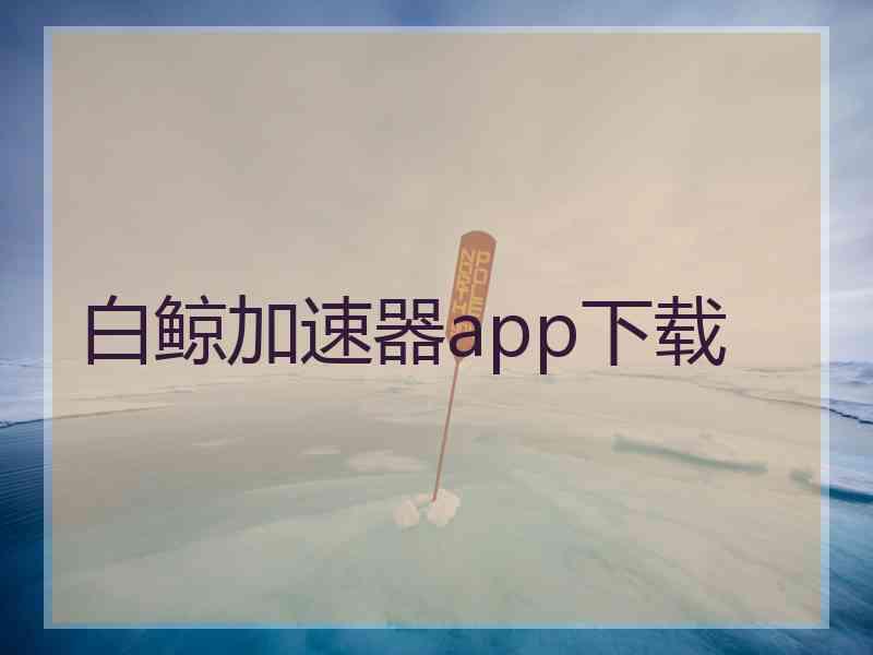 白鲸加速器app下载
