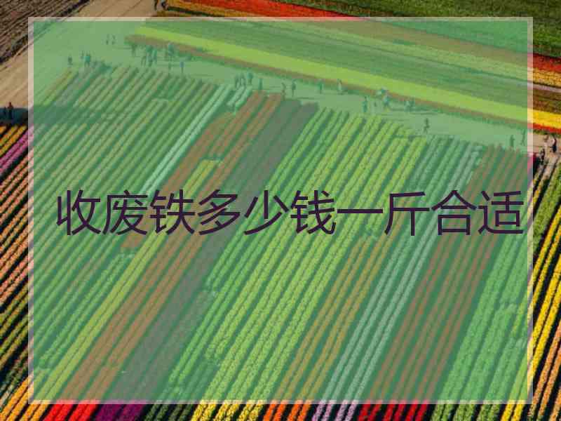 收废铁多少钱一斤合适 收废铁多少钱一斤合适