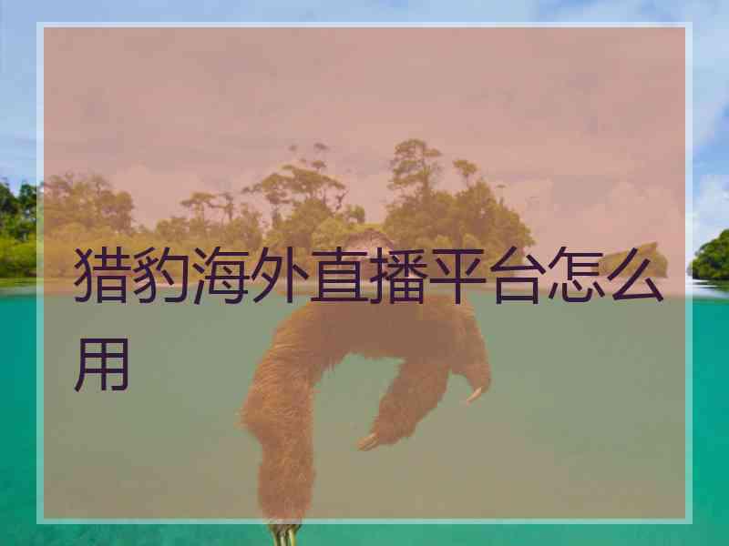 猎豹海外直播平台怎么用 猎豹海外直播平台怎么用