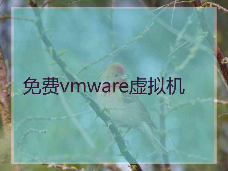 免费vmware虚拟机