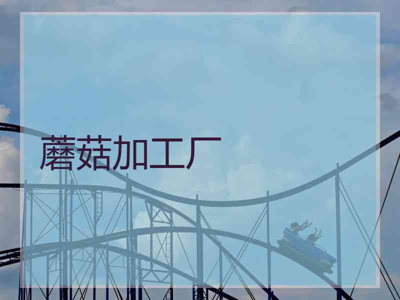 蘑菇加工厂 蘑菇加工厂