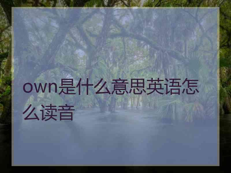 own是什么意思英语怎么读音 own是什么意思英语怎么读音