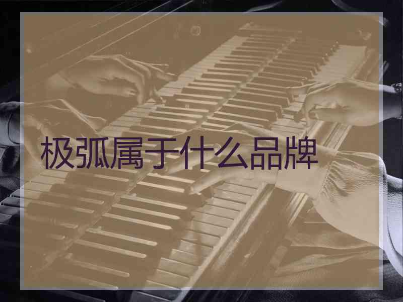 极弧属于什么品牌 极弧属于什么品牌