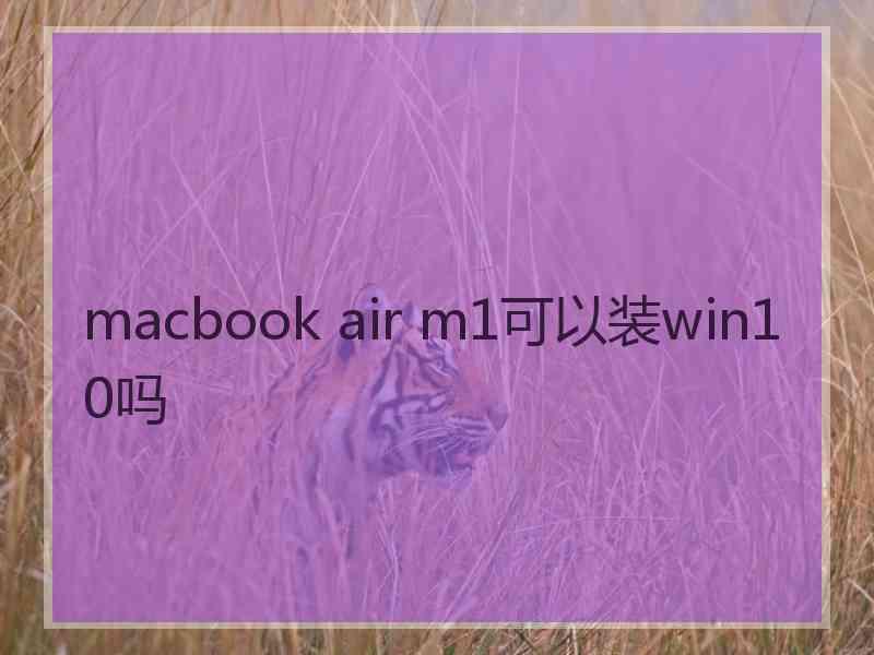 macbook air m1可以装win10吗