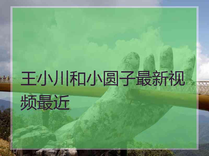 王小川和小圆子最新视频最近 王小川和小圆子最新视频最近
