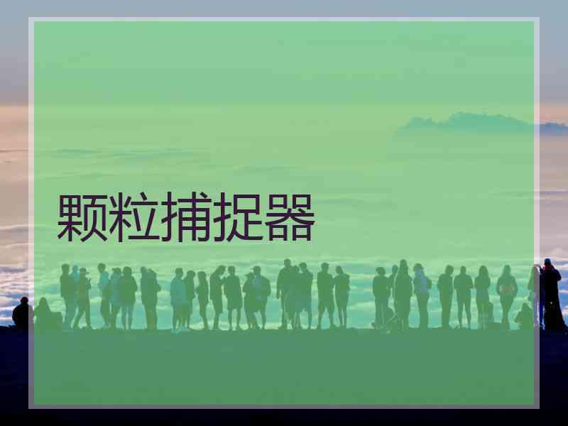 颗粒捕捉器 颗粒捕捉器