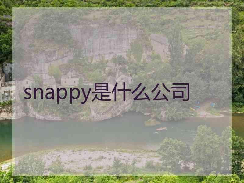 snappy是什么公司 snappy是什么公司