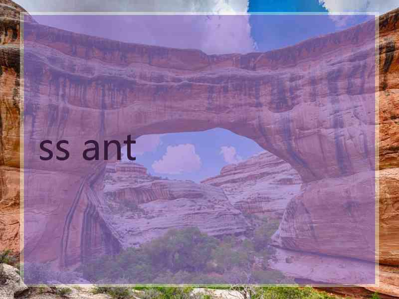 ss ant